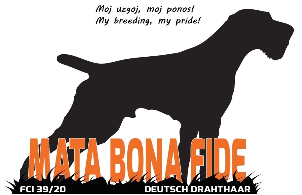 1. MATA BONA FIDE logo i moto 2